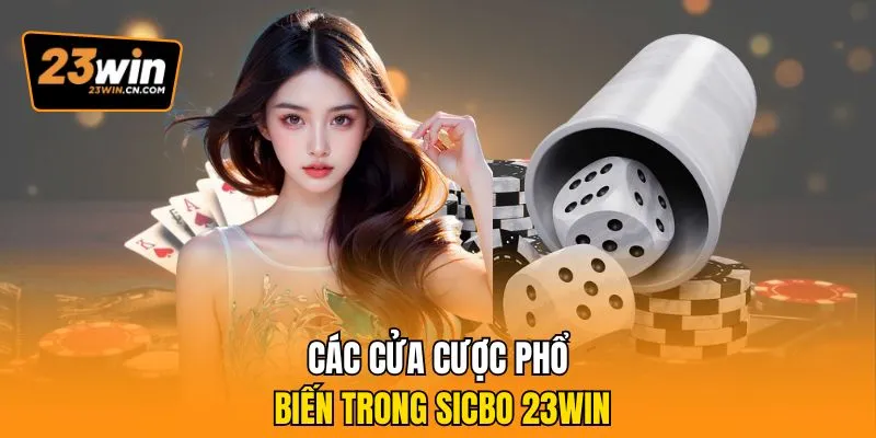 Sicbo 23Win - Cách Vận Hành, Cửa Đặt Và Quy Trình Cược 3 Các cửa cược phổ biến trong Sicbo 23Wi