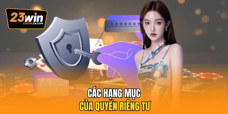 Quyền Riêng Tư – Những Điều Mà Game Cần Phải Biết 2 Các hạng mục của quyền riêng tư